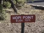 E-Hopi Point- Canyon View.jpg (150kb)